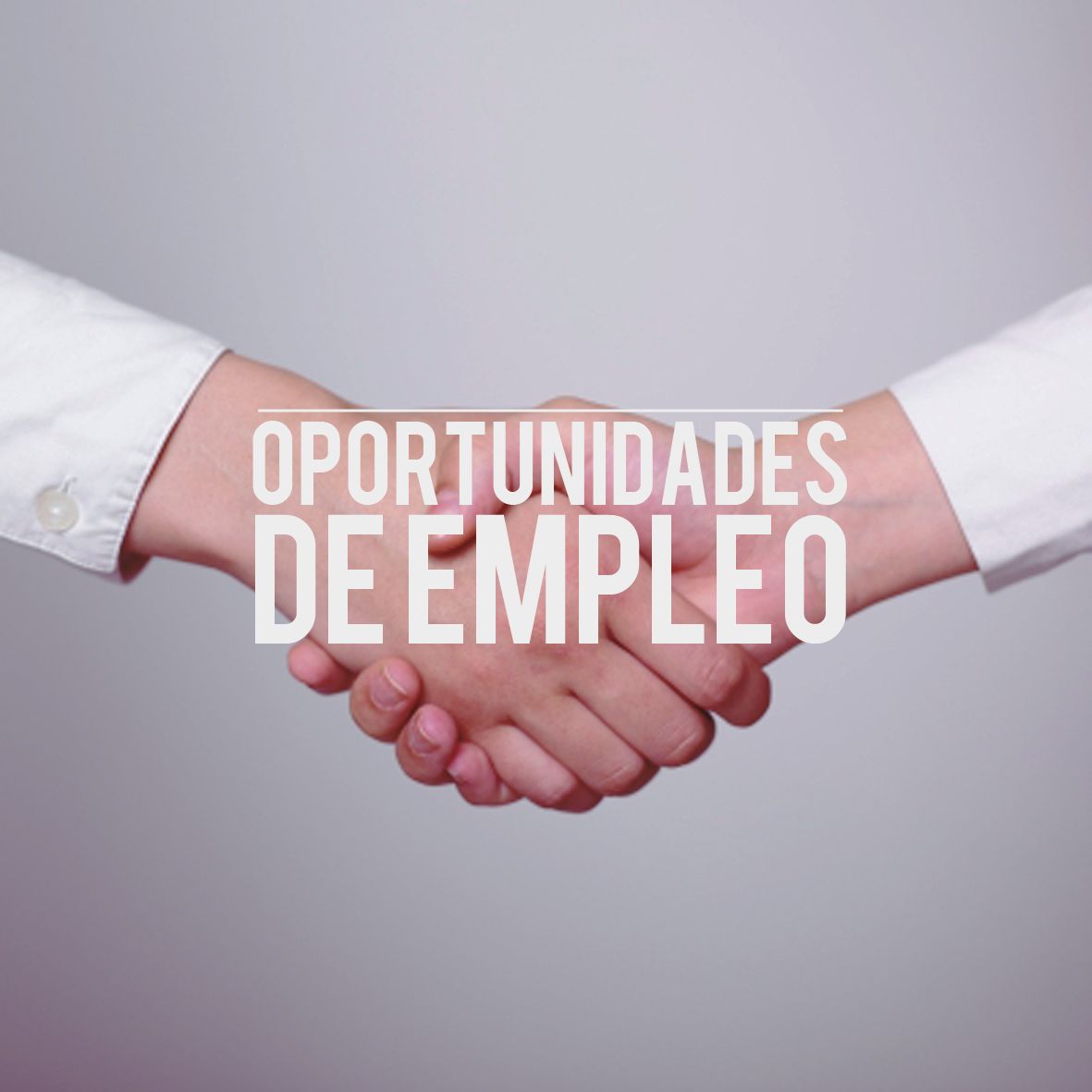 Chinalco y las Oportunidades de Empleo