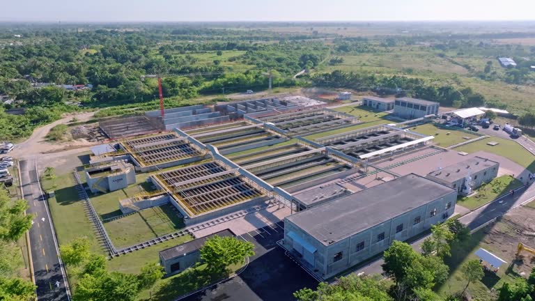 Descubre las oportunidades de crecimiento en Unilever