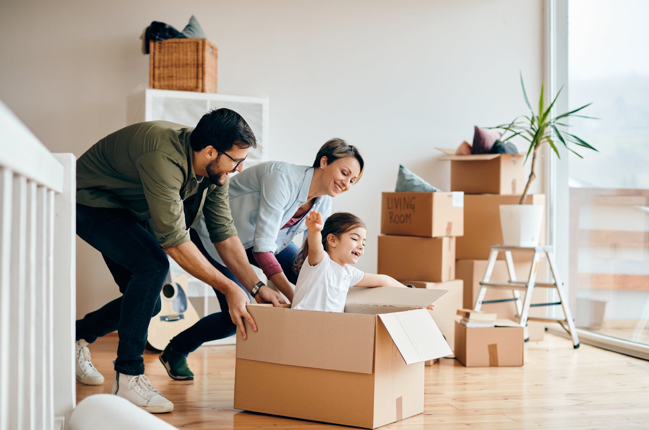Implicaciones de la propiedad para la empresa