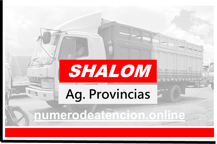 Importancia de la red de agencias de Shalom