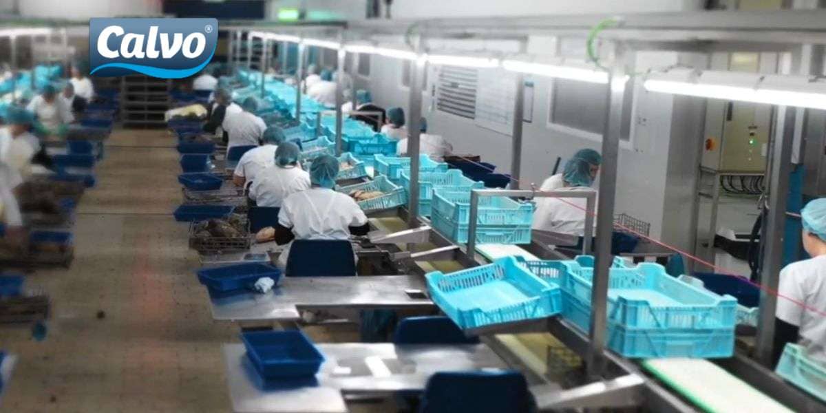 Información General sobre las Ofertas de Empleo