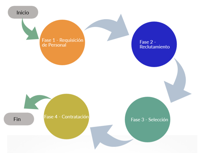 Proceso de Selección