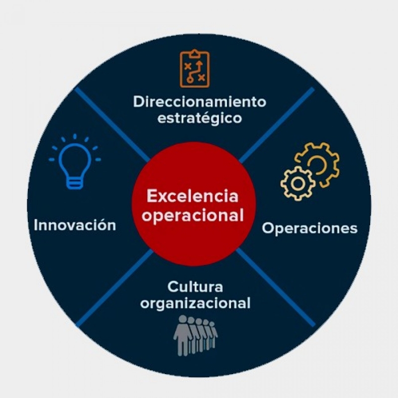 <strong>Cultura Organizacional: Foco en la Excelencia