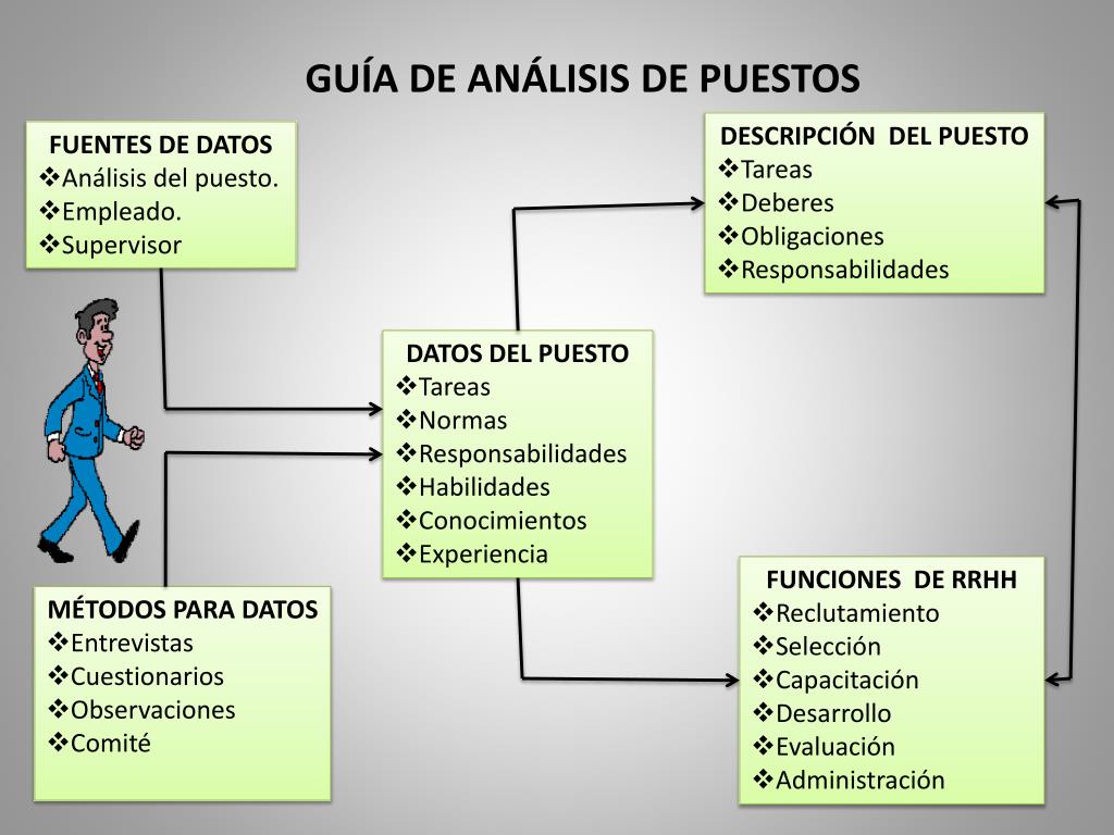 <strong>Experiencia y Formación