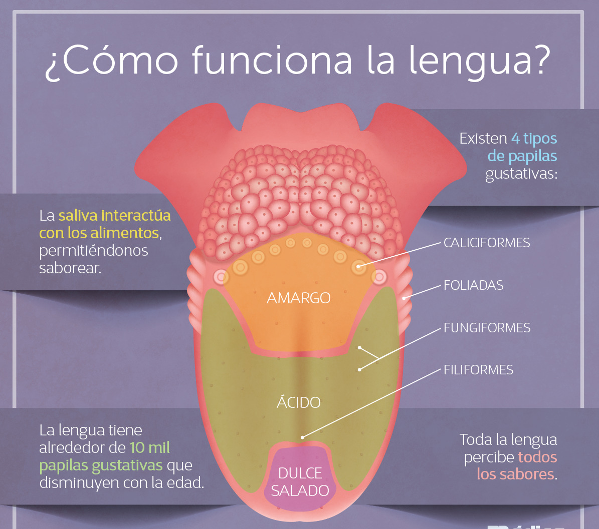 La magia detrás de las batas blancas: una historia que podría ser tuya