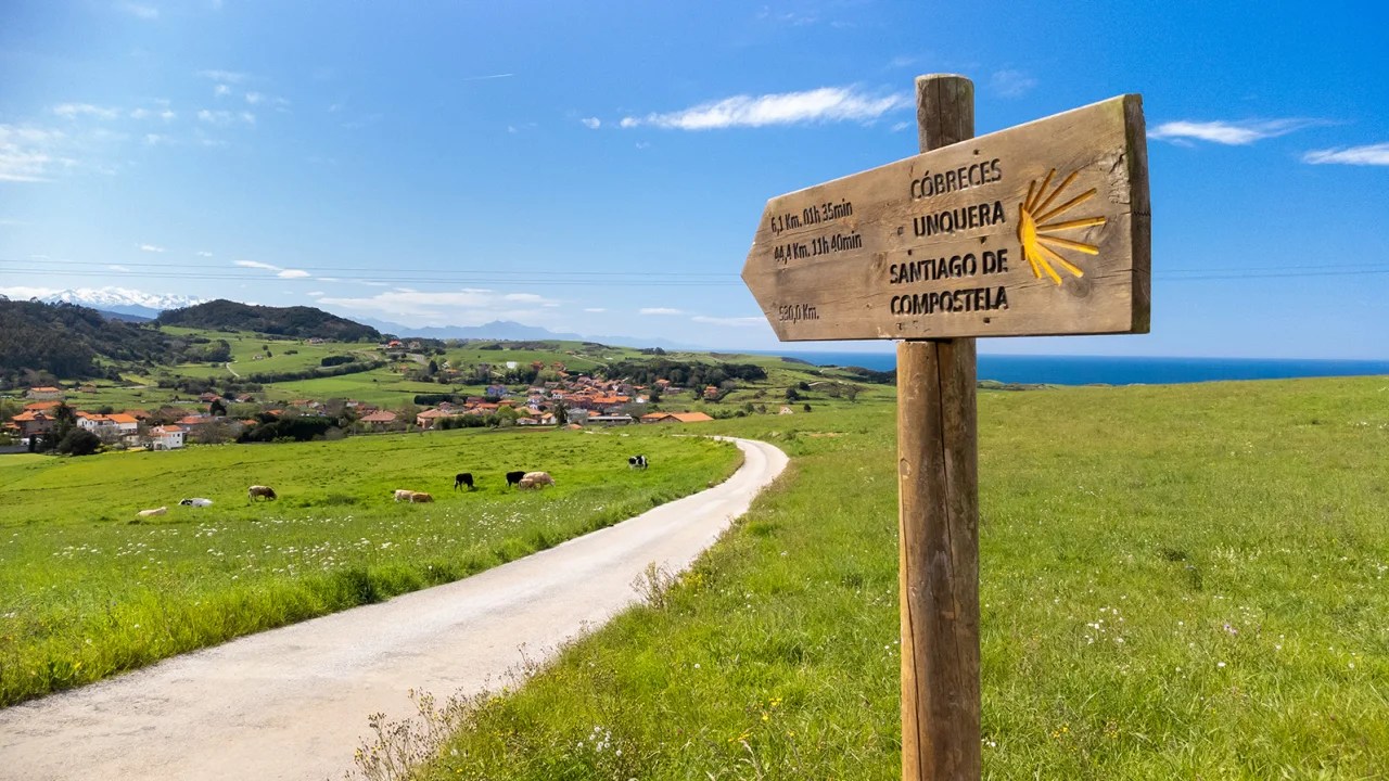 Cómo postular: Un camino real, no de fantasía