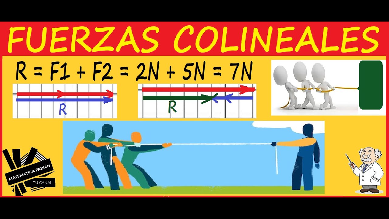 Desmontando mitos sobre trabajar en Colineal: ¿Es tan "bacán" como dicen?